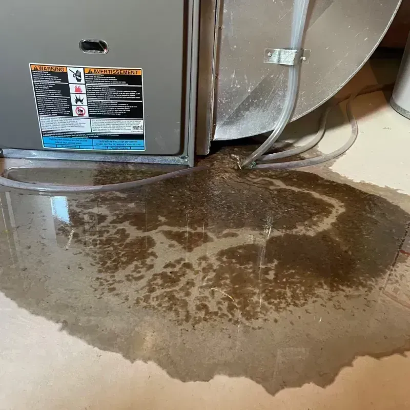 Appliance Leak Cleanup in Norwood, OH